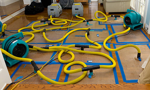 Professional Emergency Water Removal technician working in Middle Point, OH